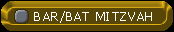 Bat / Bar Mitzvah Page